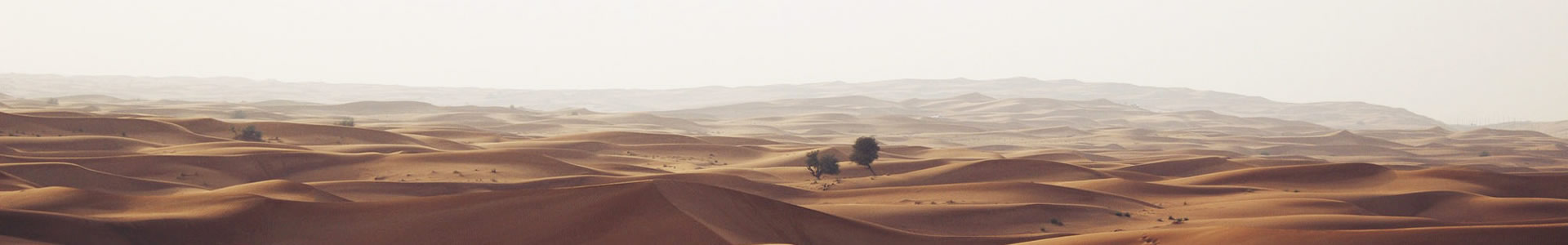 ӫƼ޹˾